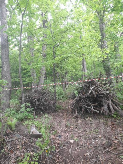 Уборка территорий от/Веток/Мусора. Покос Травы/Пилим Деревья во ...