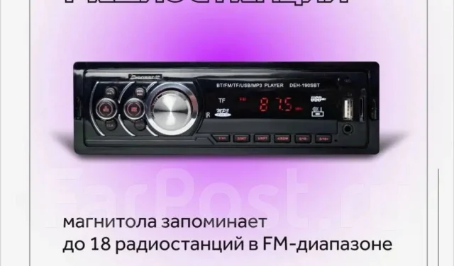 Pioneer ����