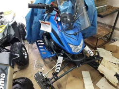 Irbis Dingo T200. ��������, ��, ��� ������� ����
