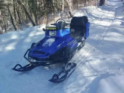 Yamaha Viking 540 ����