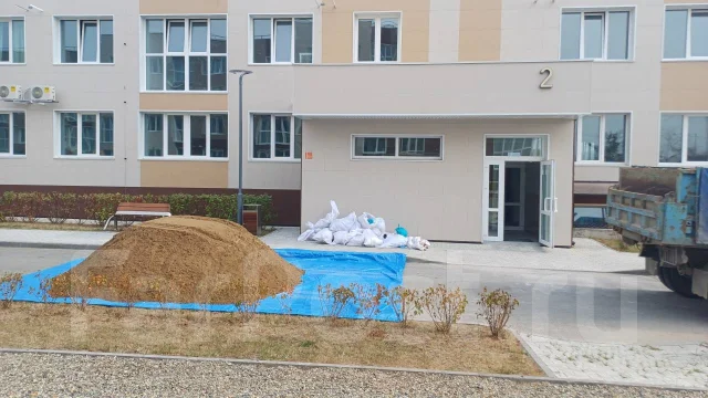 �����. ����