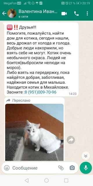 �����. ����