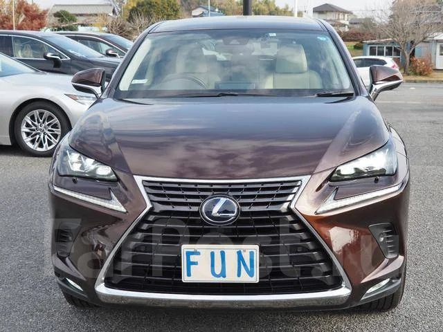 Lexus NX300h. �������, 4wd, 2.5 (155��.�.), ������, 10 400����. ��, �/�. ��� ����� �� ������������ ����