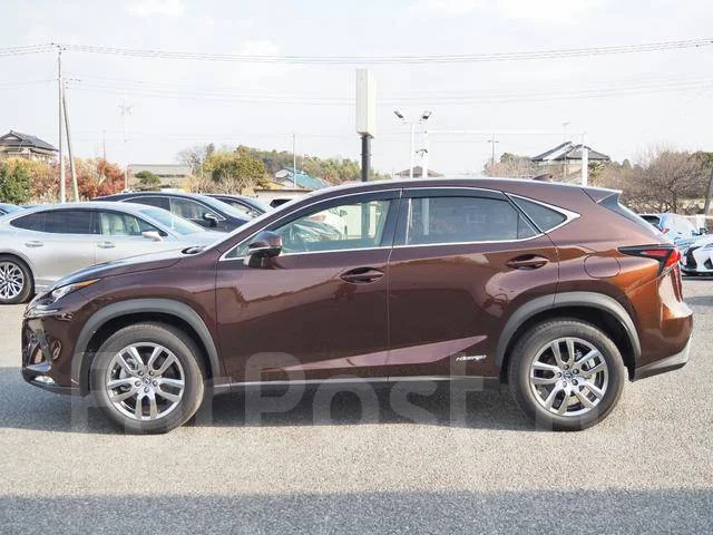 Lexus NX300h. �������, 4wd, 2.5 (155��.�.), ������, 10 400����. ��, �/�. ��� ����� �� ������������ ����
