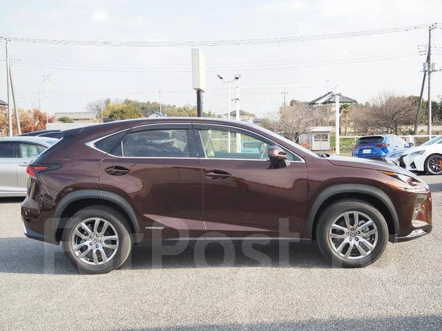 Lexus NX300h. �������, 4wd, 2.5 (155��.�.), ������, 10 400����. ��, �/�. ��� ����� �� ������������ ����