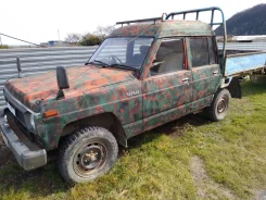 Nissan Safari. ��������, 4wd, 4.2, ������, 50����. ��, ��� ��� ����