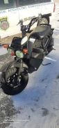 Honda Zoomer. 49����. ��., ��������, ��� ���, ��� ������� ����