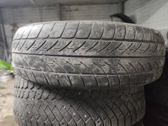 Tigar Touring. ������, �/�, ����� 60 % ����