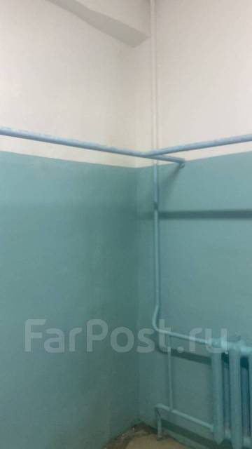 Обработка от плесени и грибка во Владивостоке