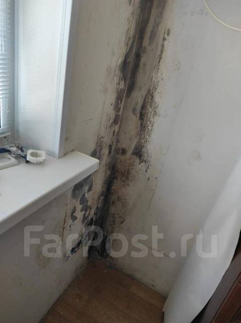 Обработка от плесени и грибка во Владивостоке