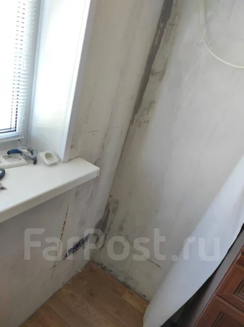 Обработка от плесени и грибка во Владивостоке