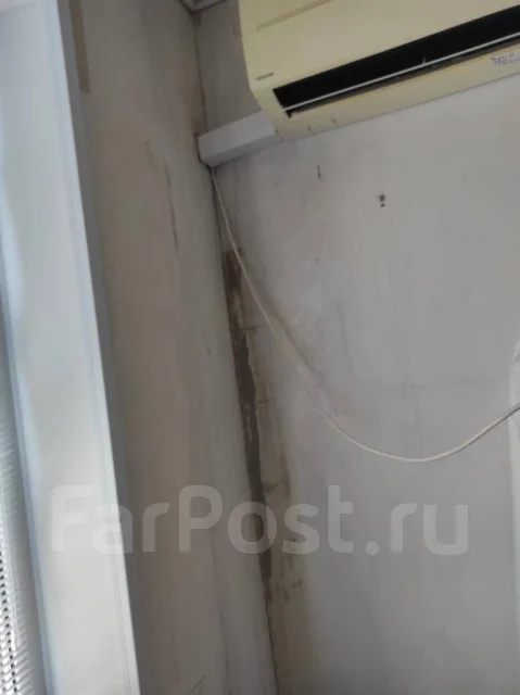 Обработка от плесени и грибка во Владивостоке