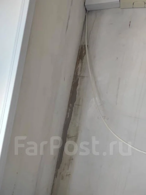 Обработка от плесени и грибка во Владивостоке