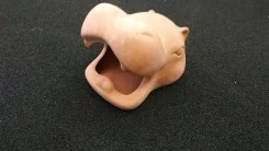 �����. ����