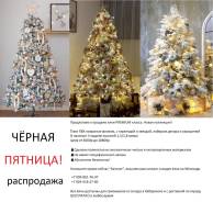 ���� �������������. ����