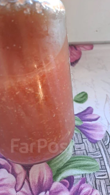 ��������. ����