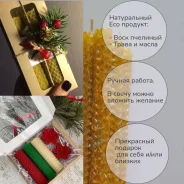����� ������ ������ ����
