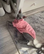 ������. ����