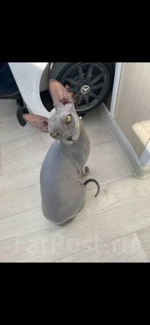 ������. ����