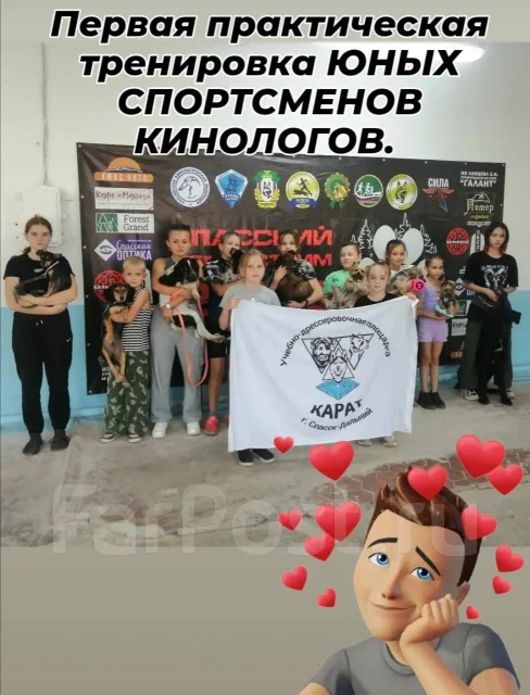 ����������� ��������. ����