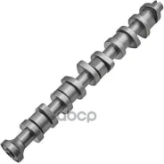 ���������� Zikmar ���. Z18063R Z18063R ����