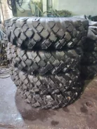 Forward Traction. �����������, 2015 ���, ����� ����
