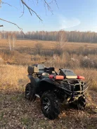 Yamaha Grizzly. ��������, ��, �� ����