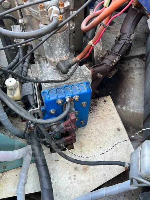 ��������� Sorex ���-�� ������. 1999 ���, ����� 5��., ��������� ������������, ������ ����