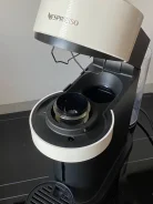 ����������. ����