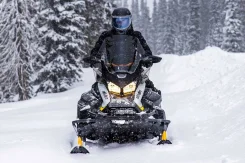 BRP Ski-Doo Skandic. ��������, ��, ��� ������� ����
