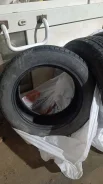 Toryo. ������, ��� �����, �/�, ����� 40 % ����