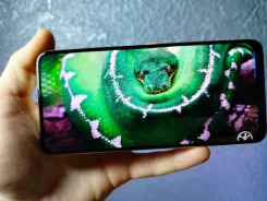 Realme 11. �����, 256 ��, ������, 3G, 4G LTE, Dual-SIM, ����������, NFC ����