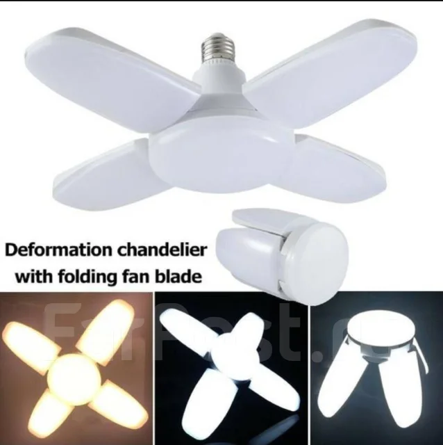 �����. ����