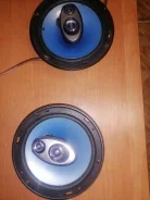 Elenberg ����