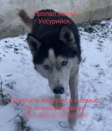 �����. ����