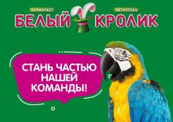 «Порнофильмы»: России не нужен Карабах, когда есть Хабаровск