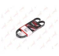 ������ ���������� 5PK1113 Lynx 5PK1113 ����