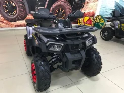 Motoland Wild Track X. ��������, ��� ���\���, ��� �������. ��� ����� �� ������������ ����