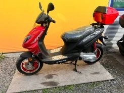 Stels. 49����. ��., ��������, ��� ������� ����