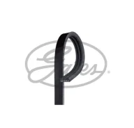 ������ ���������� 3PK675 Gates 3PK675 ����