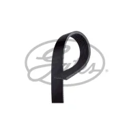 ������ ���������� 7PK1705 Gates 7PK1705 ����