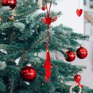 ������, ��������. ����