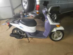 Honda Topic. 49����. ��., ��������, ��� ������� ����