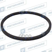 ������ ������� ����� Motorherz ���. HTZ0007 HTZ0007 ����