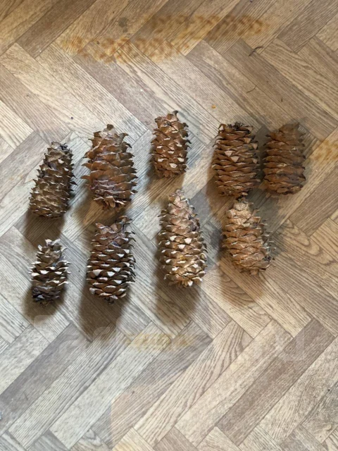�����. ����