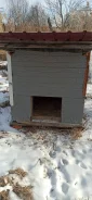 �����. ����