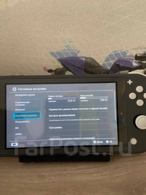Nintendo Switch Lite ����