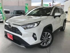 Toyota RAV4. �������, 4wd, 2.0 (171��.�.), ������, 22 000����. ��, �/�. ��� ����� �� ������������ ����