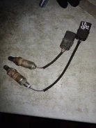 ������ ����������� Nissan Bluebird eu14 226902Y921 ����