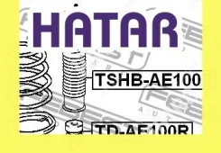 ������� ������������ ��� ������� Febest Tshbae100R TSHBAE100R ����